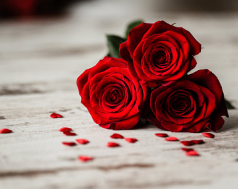 鮮花小程序案例